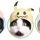 Illustration for article titled iPokémon/i Cosplay Has Gotten Easier For Catsem/em
